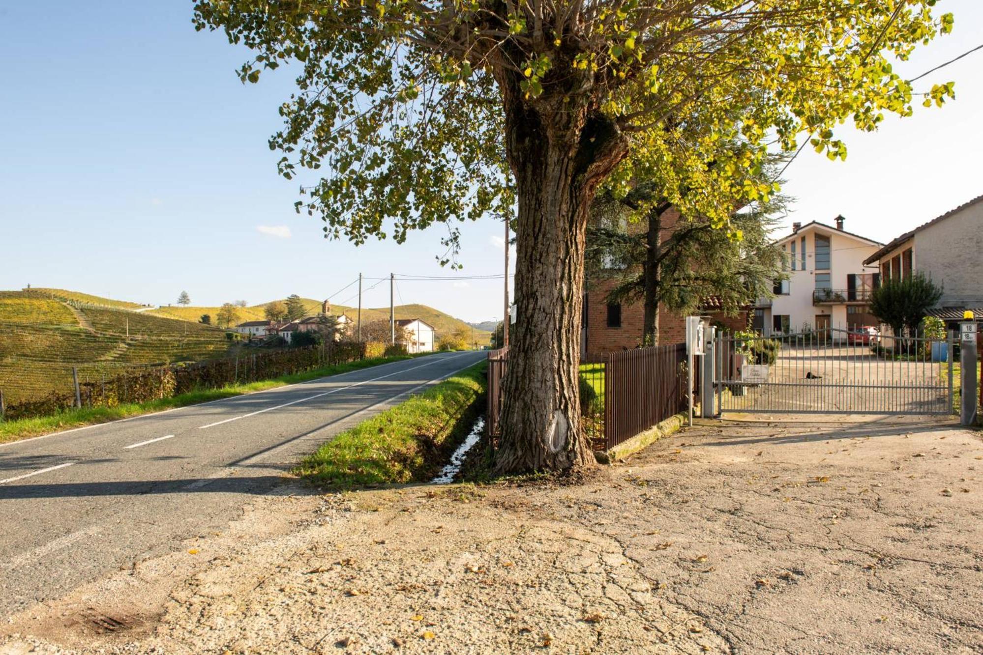 Casa Rubbo - Appartamento In Collina 'Monviso' Альба Экстерьер фото